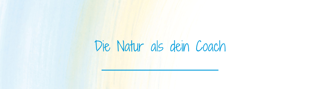 Natur als dein Coach